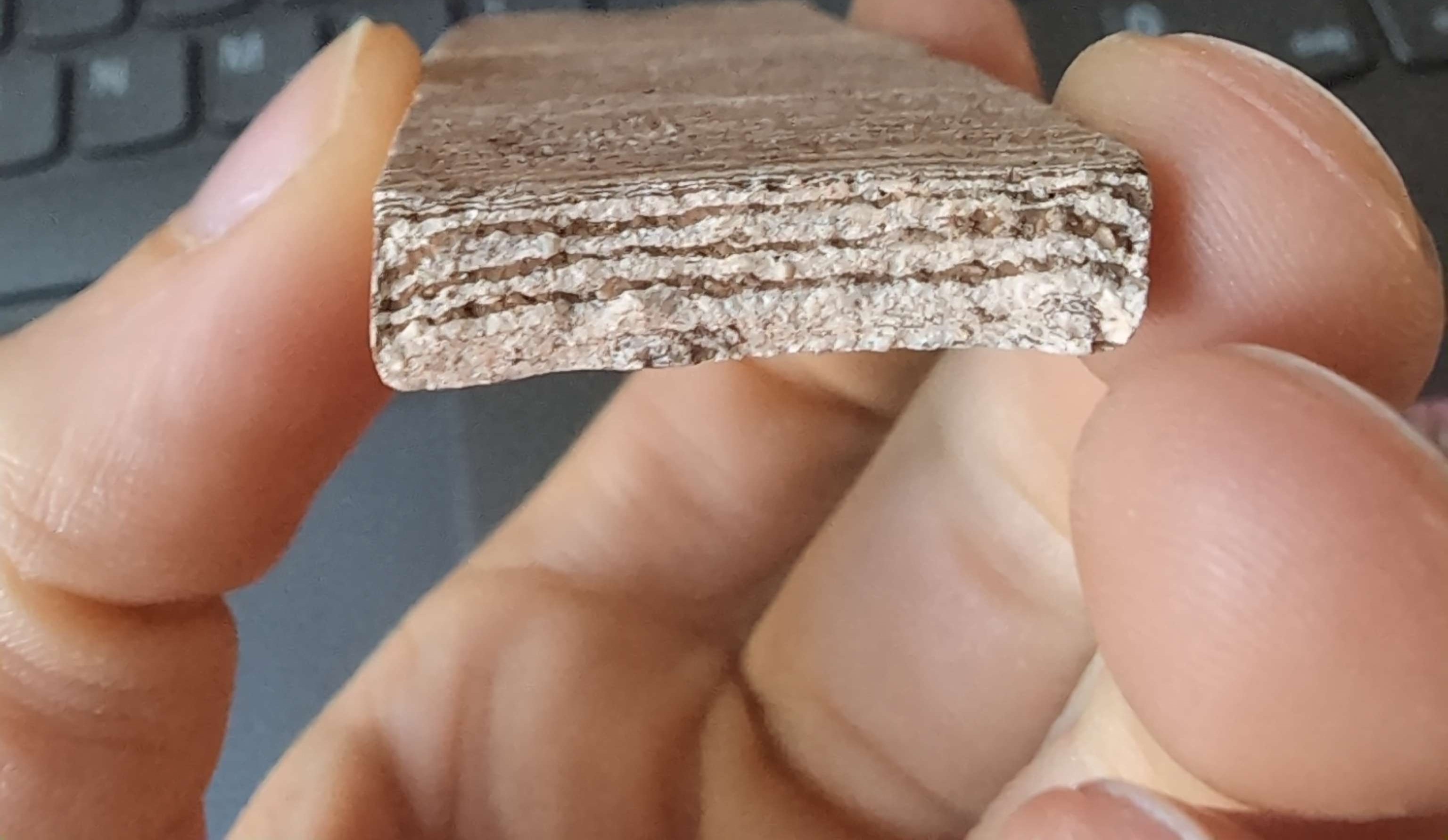 crosssection